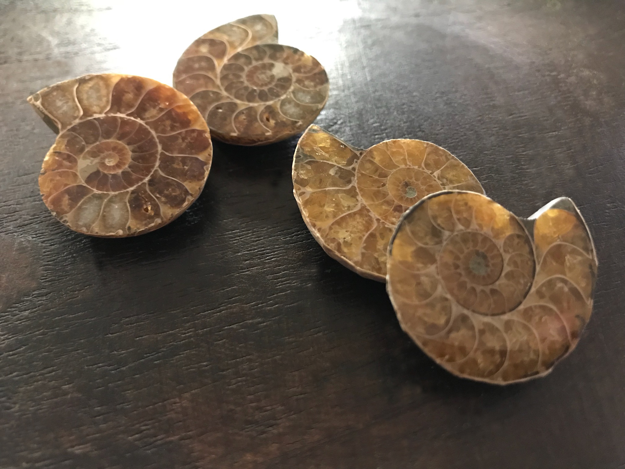 Ammonite Pairs