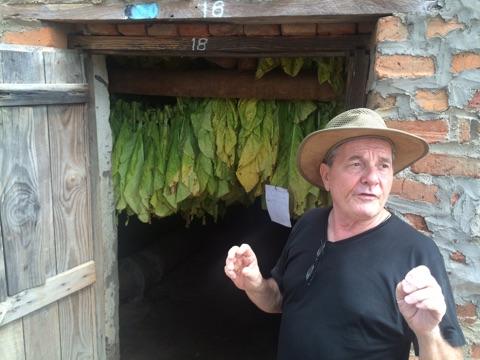 Tobacco Farmer