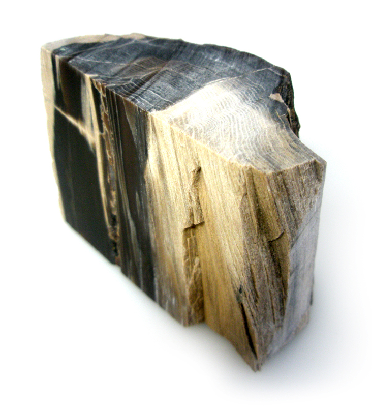 Petrified Wood - USA