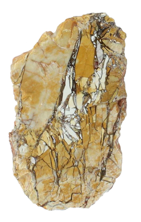 Brecciated Mookaite Rough